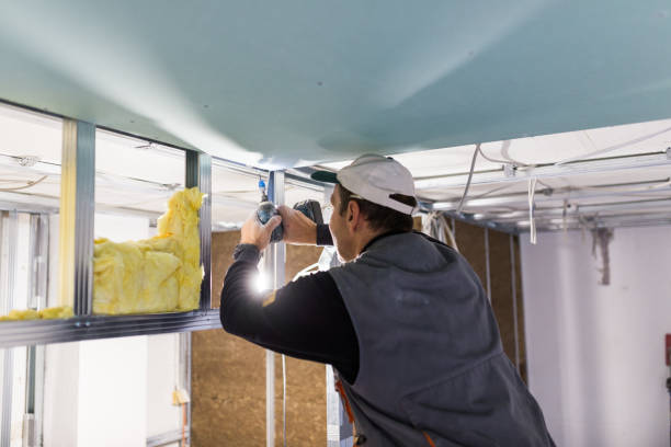 Best Home Insulation Services  in Coson, OK