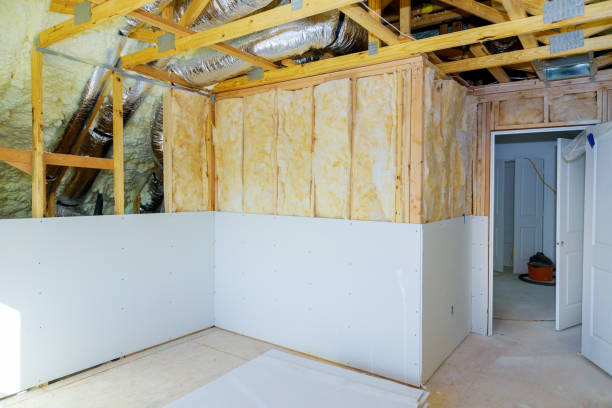 Best Spray Foam Insulation  in Coson, OK